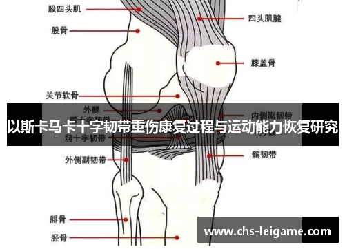 以斯卡马卡十字韧带重伤康复过程与运动能力恢复研究
