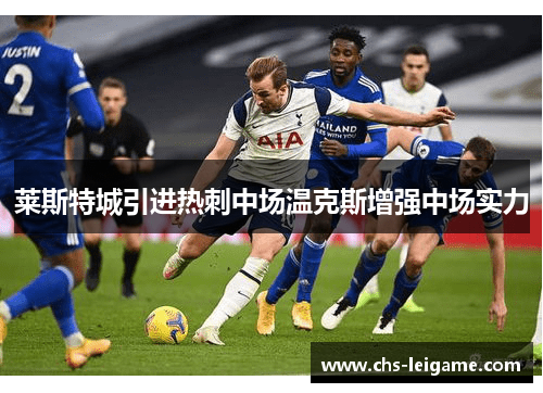 莱斯特城引进热刺中场温克斯增强中场实力